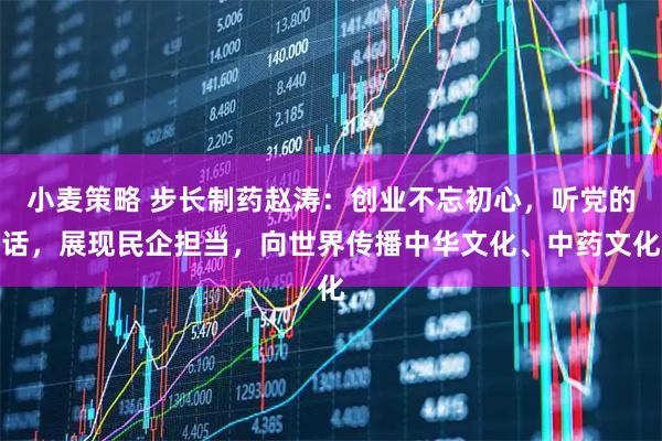 小麦策略 步长制药赵涛：创业不忘初心，听党的话，展现民企担当，向世界传播中华文化、中药文化