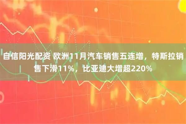 自信阳光配资 欧洲11月汽车销售五连增，特斯拉销售下滑11%，比亚迪大增超220%